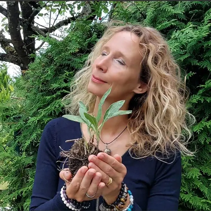 Spiritualität mit Liv Wach
