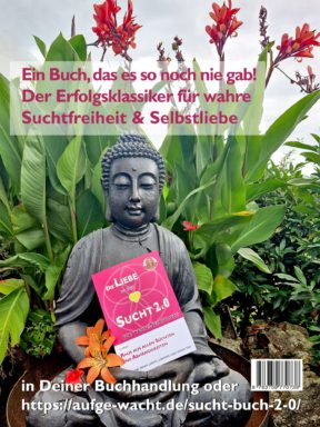Buchcover Raus aus allen Süchten und Abhängigkeiten